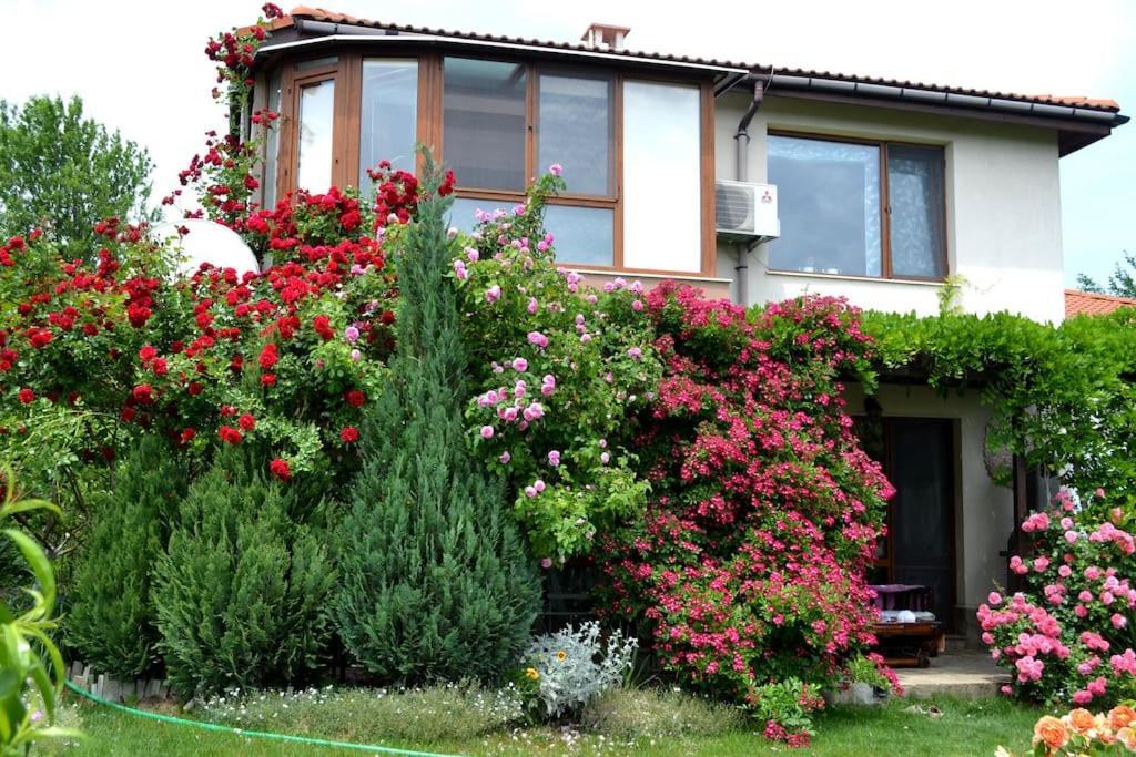 Sea & Garden Villa Várna Kültér fotó