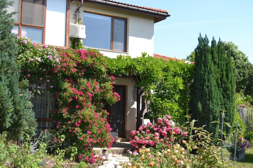 Sea & Garden Villa Várna Kültér fotó