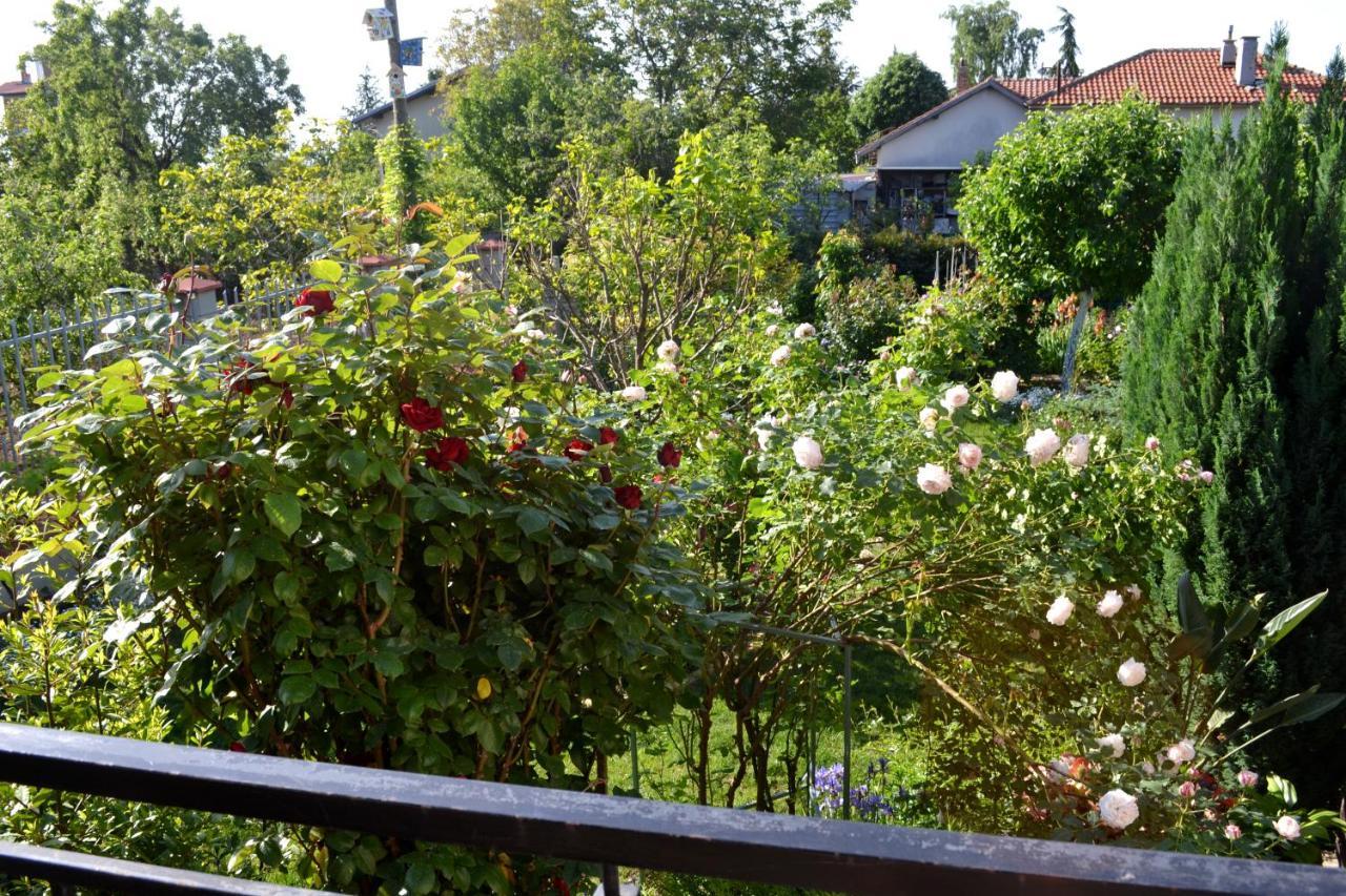 Sea & Garden Villa Várna Kültér fotó