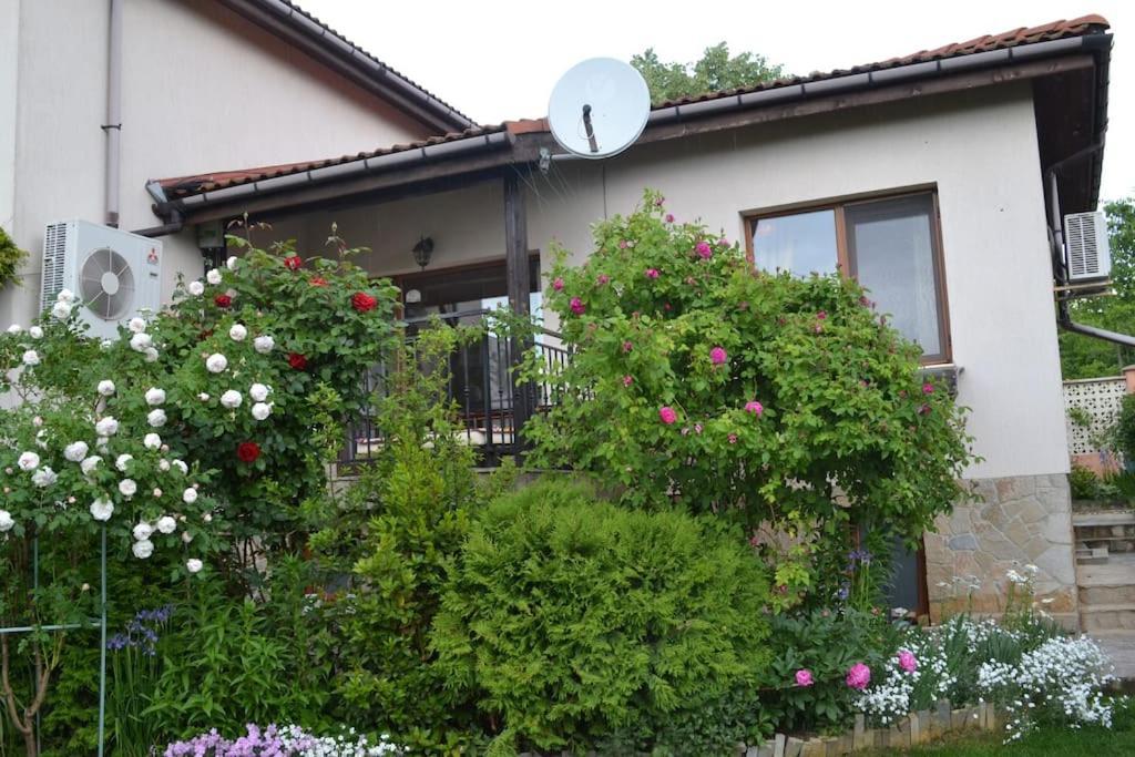 Sea & Garden Villa Várna Kültér fotó