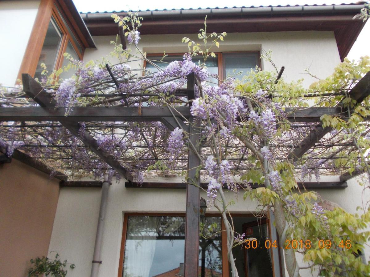 Sea & Garden Villa Várna Kültér fotó